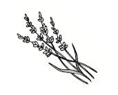 Отцы и дочери. Как отношения с отцом влияют на женщин и их жизненные сценарии - i_005.jpg