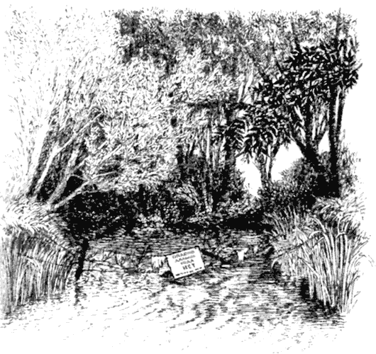 Тоуд-триумфатор - i_024.png