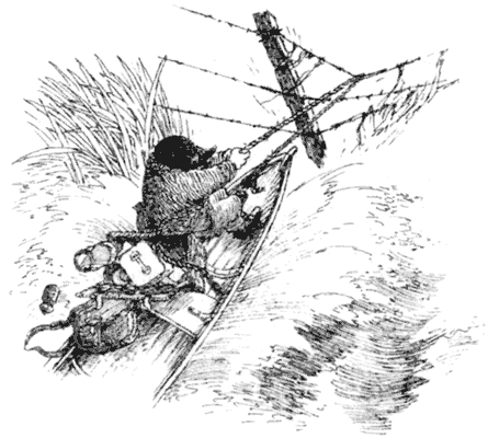 Тоуд-триумфатор - i_025.png