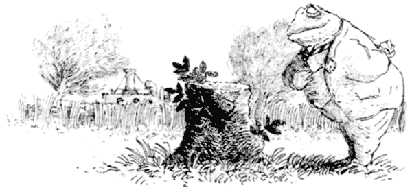 Тоуд-триумфатор - i_039.png