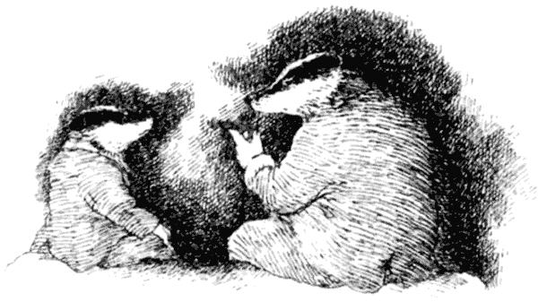 Тоуд-триумфатор - i_047.png