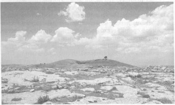 Ядерная война. Сценарий - i_049.jpg