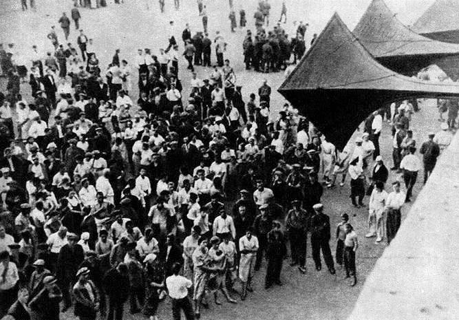 Цветы в огне войны - i_003.jpg