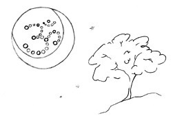 Йога сновидений в традиции сиддхов - i_014.jpg