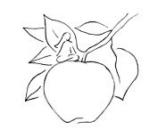 Йога сновидений в традиции сиддхов - i_016.jpg