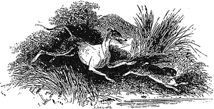 Тысячеликий герой - _56.png