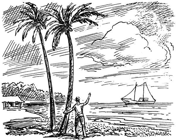 В поисках рая. Экспедиция «Кон-Тики» - i_007.png