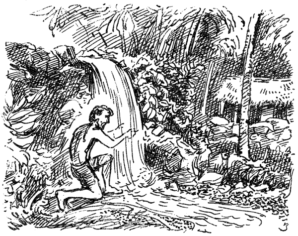 В поисках рая. Экспедиция «Кон-Тики» - i_009.png