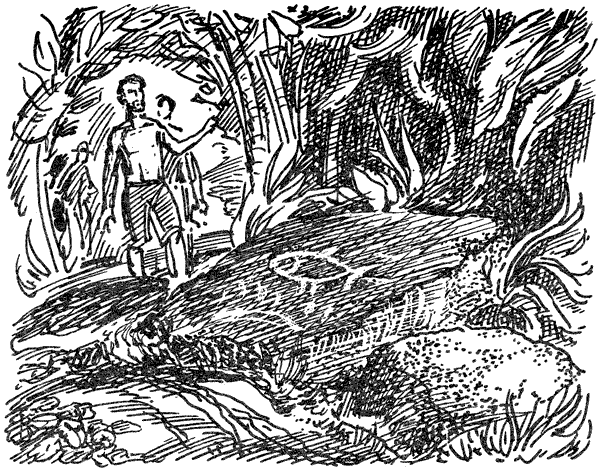 В поисках рая. Экспедиция «Кон-Тики» - i_011.png