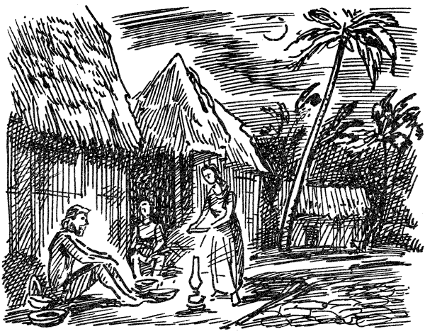 В поисках рая. Экспедиция «Кон-Тики» - i_012.png