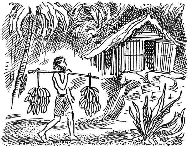 В поисках рая. Экспедиция «Кон-Тики» - i_016.png