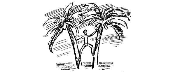 В поисках рая. Экспедиция «Кон-Тики» - i_021.png