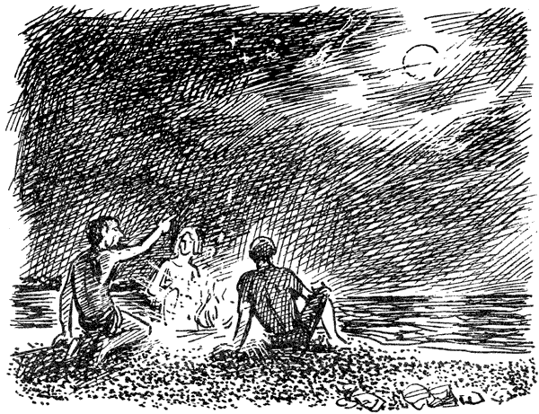 В поисках рая. Экспедиция «Кон-Тики» - i_024.png