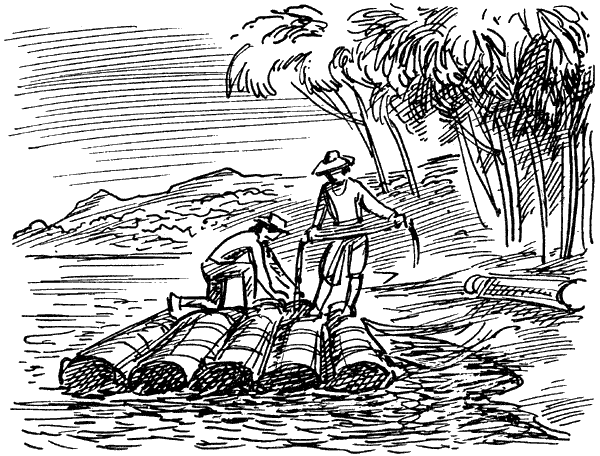В поисках рая. Экспедиция «Кон-Тики» - i_027.png