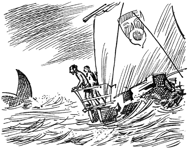 В поисках рая. Экспедиция «Кон-Тики» - i_029.png