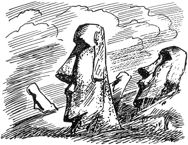 В поисках рая. Экспедиция «Кон-Тики» - i_032.png