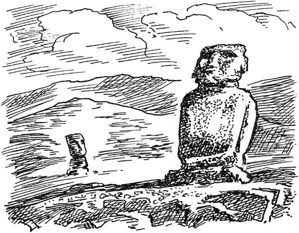 В поисках рая. Экспедиция «Кон-Тики» - i_033.png