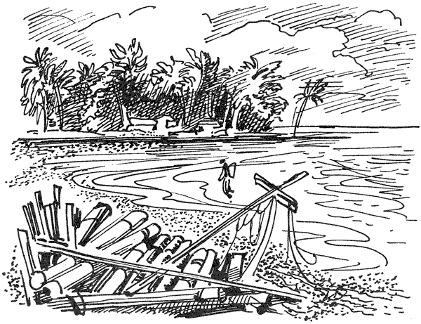 В поисках рая. Экспедиция «Кон-Тики» - i_034.png