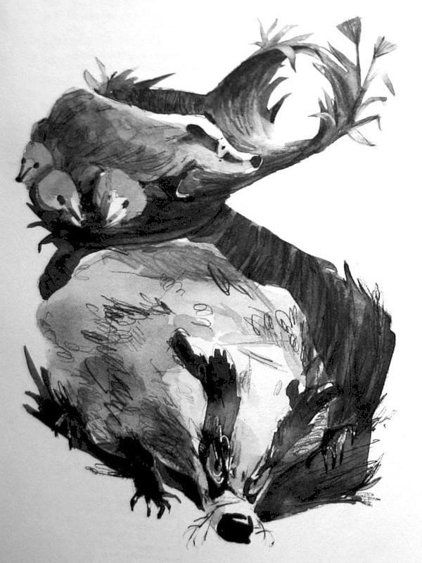 Барсук - i_003.jpg