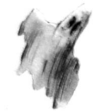 Барсук - i_005.jpg