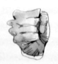 Грач - i_021.jpg