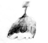 Грач - i_026.jpg