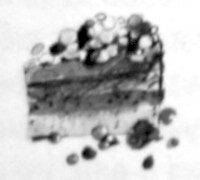 Жаворонок - i_011.jpg