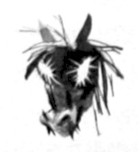 Жаворонок - i_012.jpg