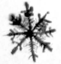 Жаворонок - i_021.jpg