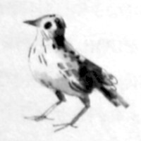 Жаворонок - i_027.jpg