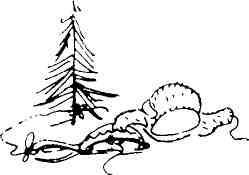 Летаргический сон - img_24.jpeg