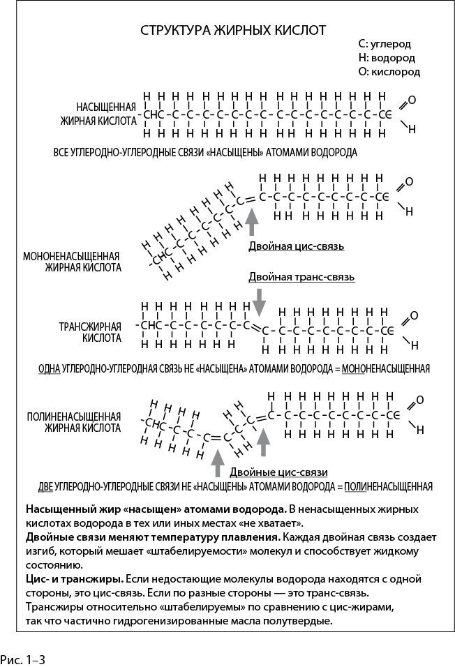 Парадокс питания. Как еда меняет наш мозг - i_004.jpg