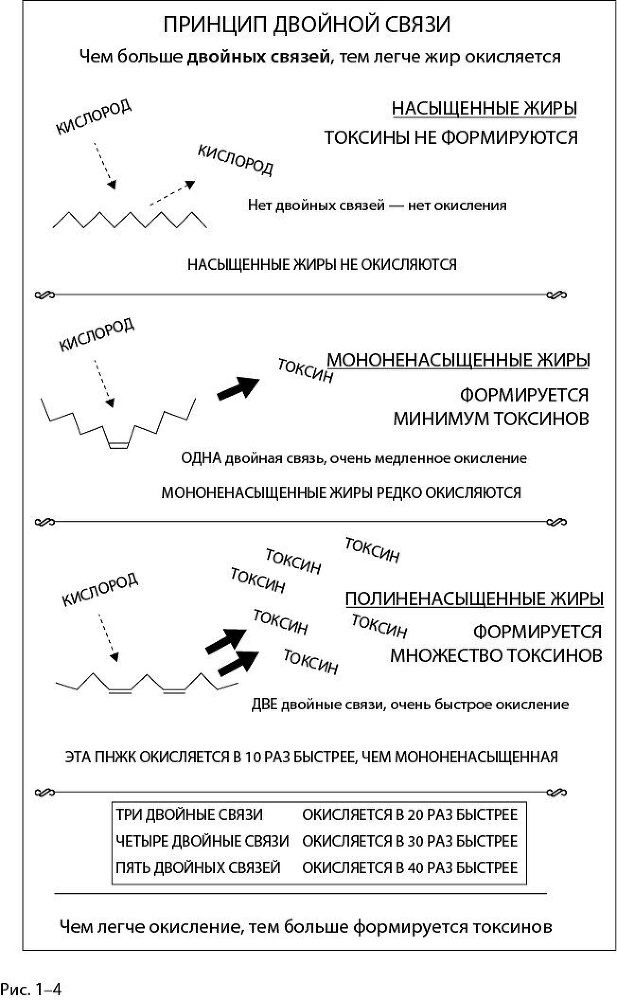 Парадокс питания. Как еда меняет наш мозг - i_005.jpg