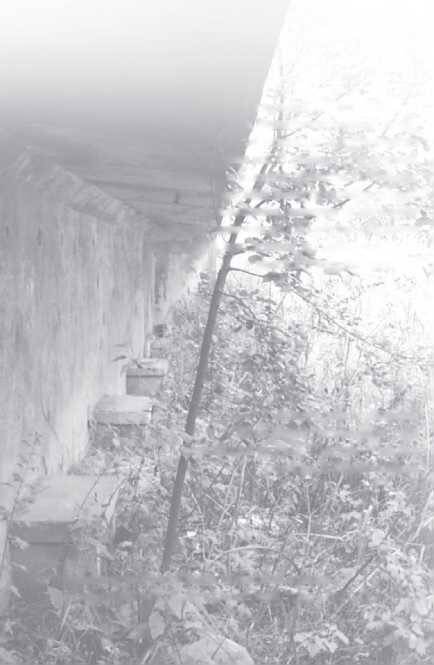 Недозволенная память. Западная Беларусь в документах и фактах. 1921-1954. - P_16.jpg