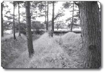 Недозволенная память. Западная Беларусь в документах и фактах. 1921-1954. - P_40.jpg