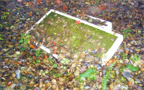 Увидеть Пруссию и… умереть - i_023.jpg