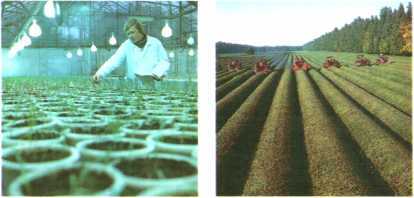 Идеи Октября живут и побеждают. Комплект-выставка - image21.jpg