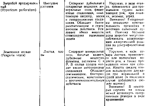 Труд и красота - image10018.png