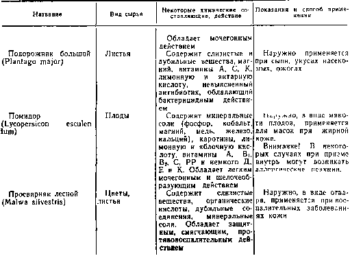 Труд и красота - image10025.png