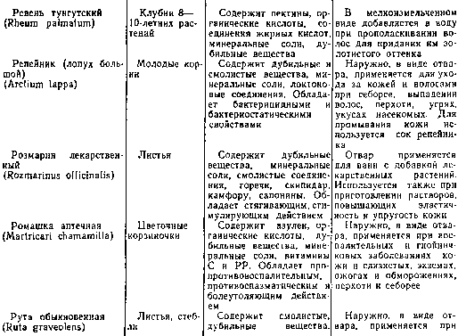 Труд и красота - image10026.png