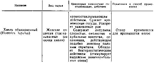 Труд и красота - image10029.png