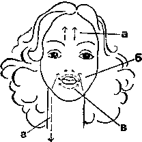 Труд и красота - image11.png