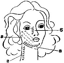 Труд и красота - image4.png