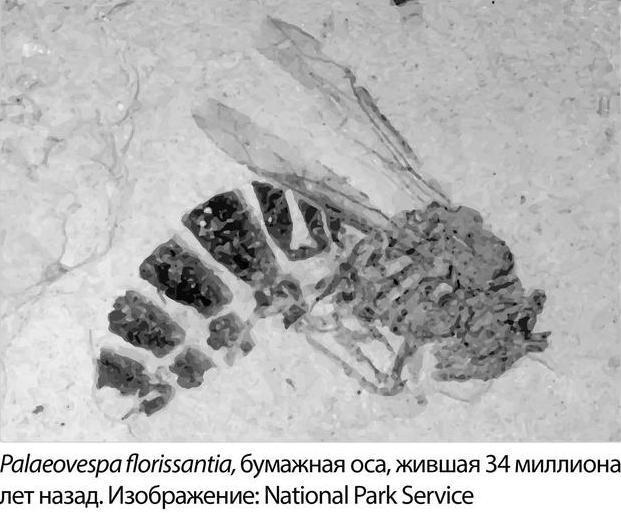 Отряд Сигма-4. Комплект из 4 книг - i_005.jpg