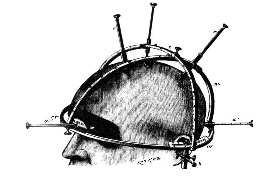 Rasovyie razlichiia v intielliektie. Evo - _1.jpg