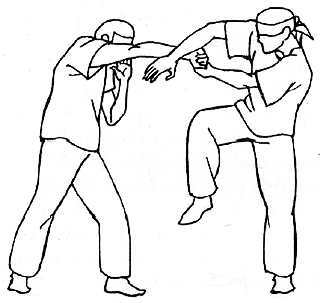 Мастер рукопашного боя. Преимущества агрессивной самозащиты - _18.jpg