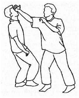 Мастер рукопашного боя. Преимущества агрессивной самозащиты - _31.jpg