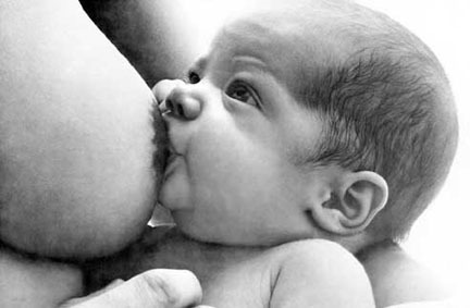 Покажи мне! - JPPZM11.jpg