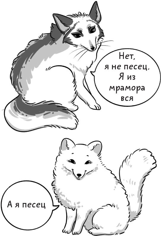 50 оттенков рыжего. Все, что нужно знать о домашних лисицах - i_004.jpg