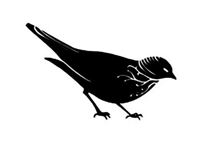 Все мои птицы - i_002.jpg